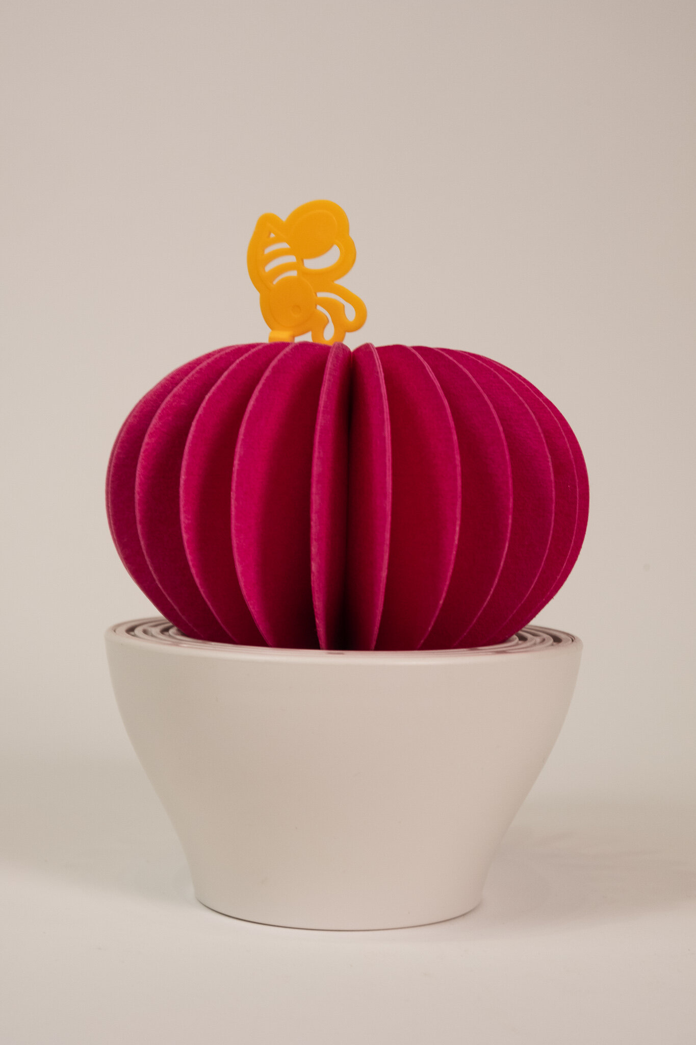 Aroma Cactus Humidifier/Diffuser 