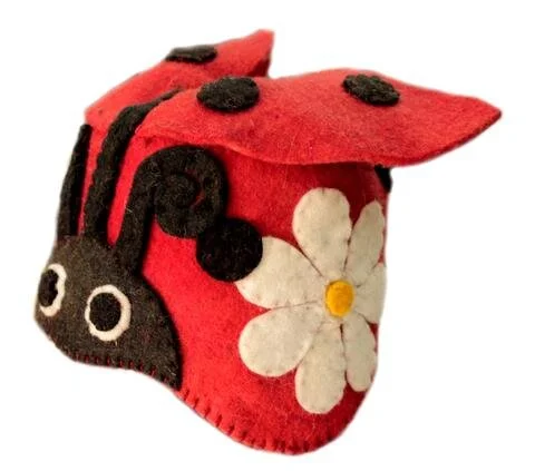 ladybug hat.jpeg