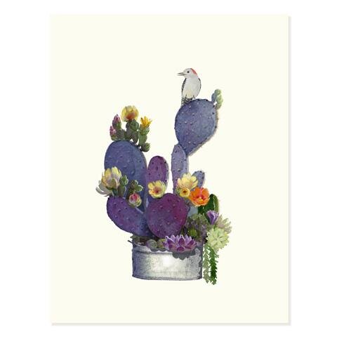 Blooming Cactus.jpg