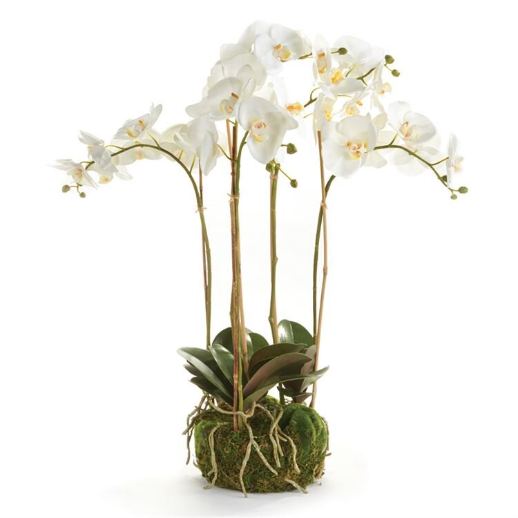 Orchid 4 Stem 25%22.jpg