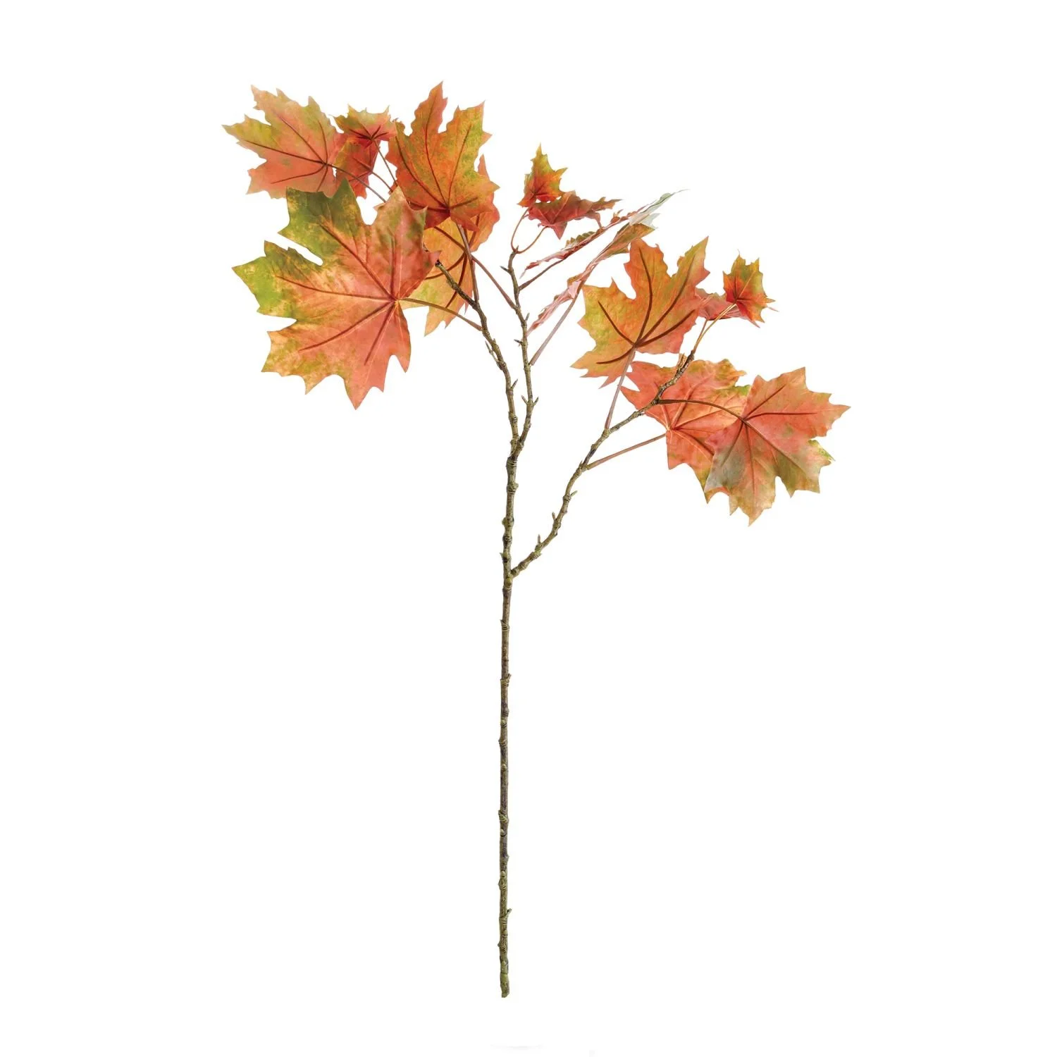Maple Leaf Branch Green.jpeg