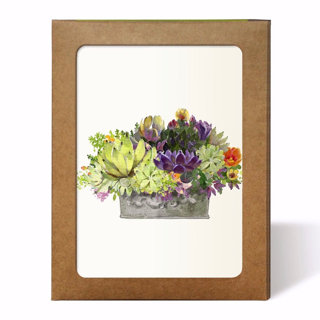 Blooming Desert Card Set.jpeg