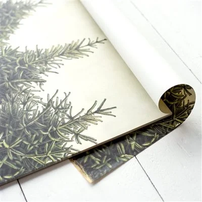 Fir Trees Paper Placemats2.jpeg