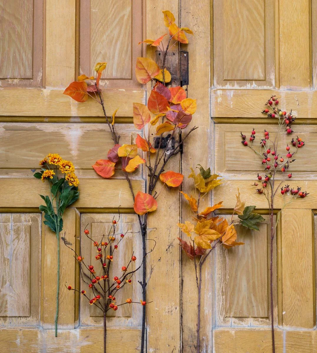 Autumn Group.jpeg