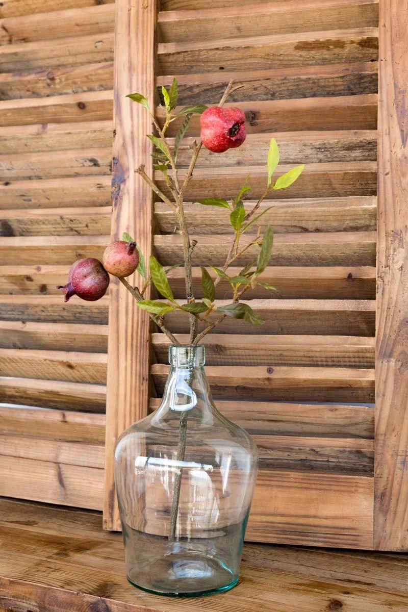 Pomegranate Stem2.jpeg