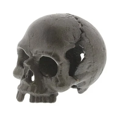 Skull No Jaw.jpeg