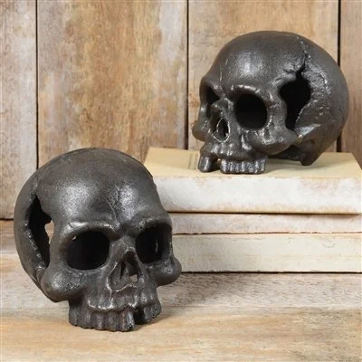 Skull No Jaw2.jpeg