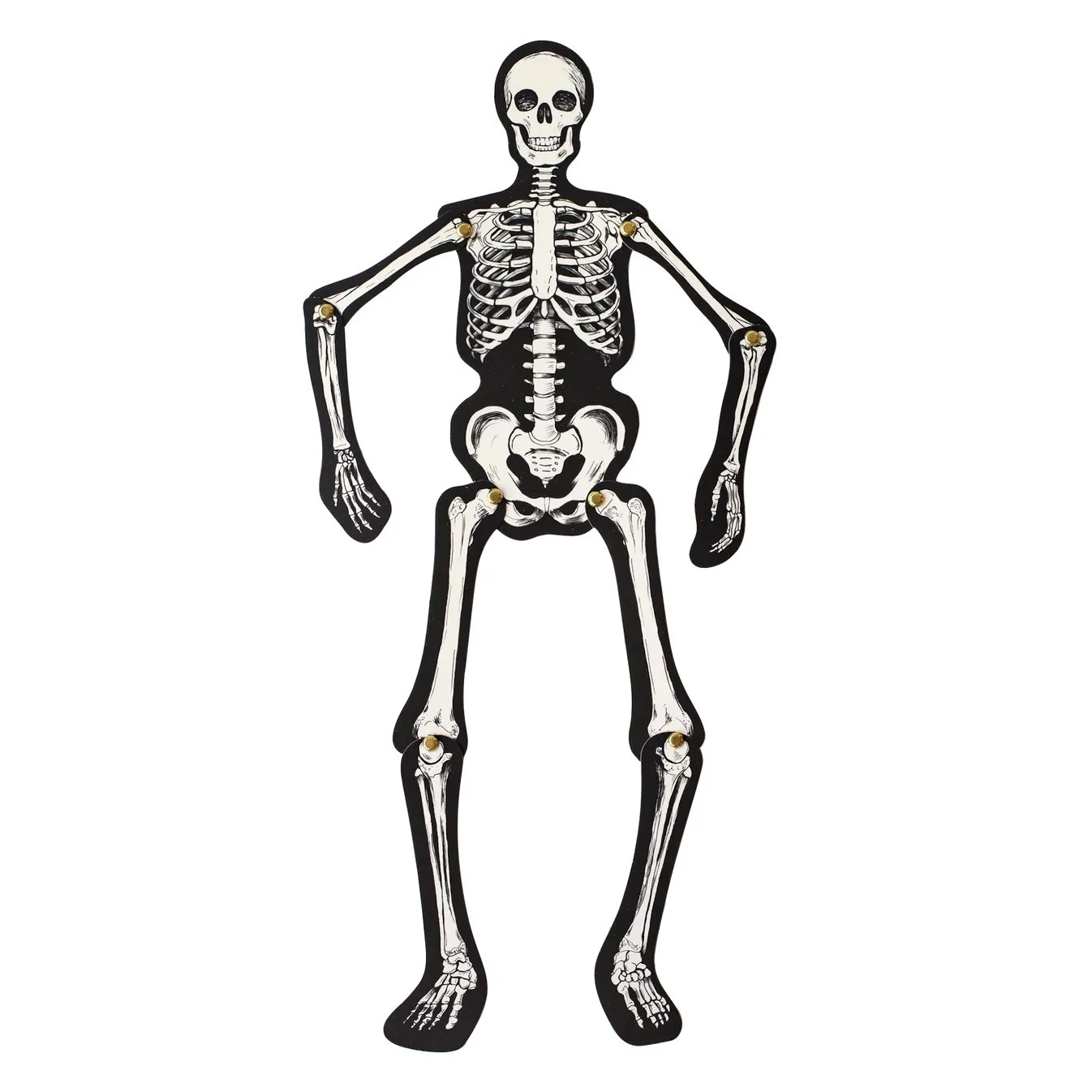 Skeleton Accent2.jpg