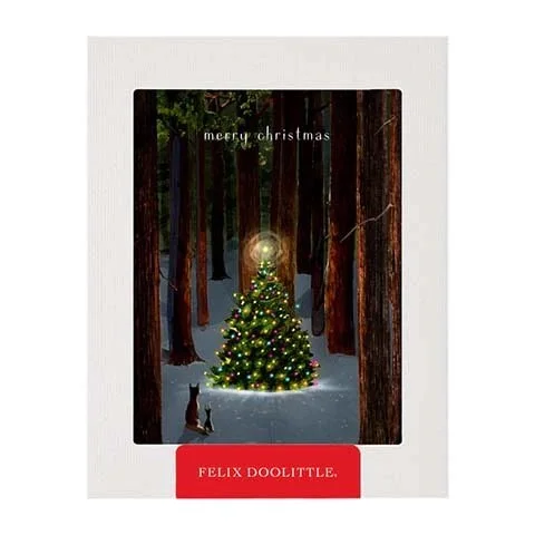 Tree Lighting Boxed Cards, 8 Count