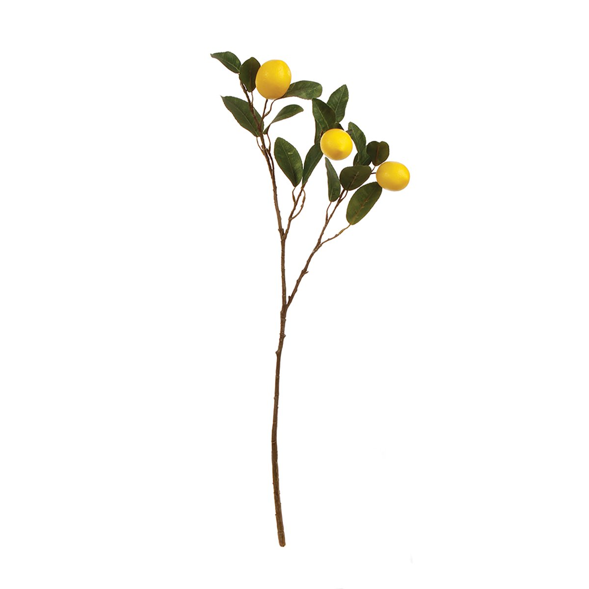 Lemon Branch.jpeg