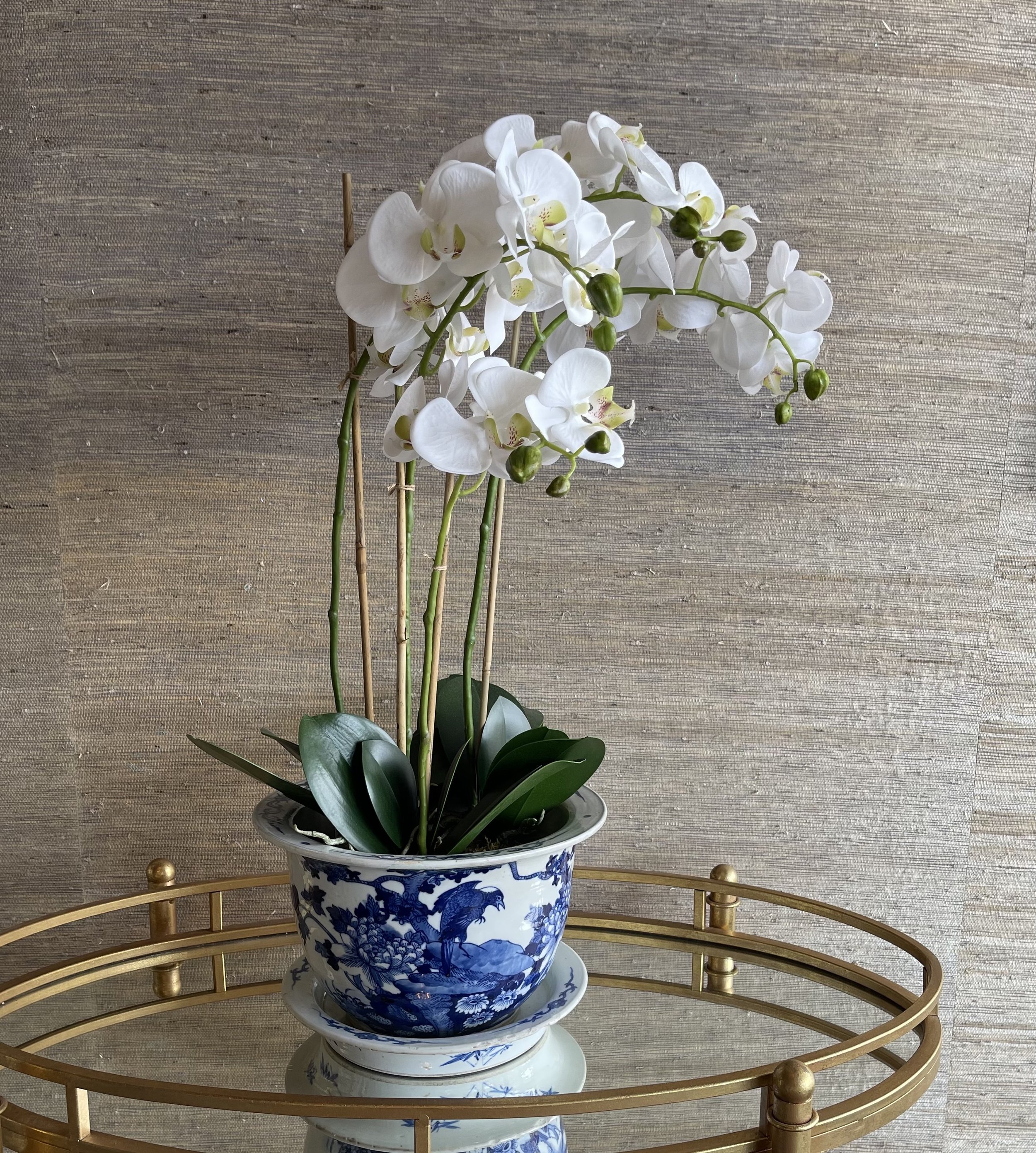 Orchid 4 Stem.jpg