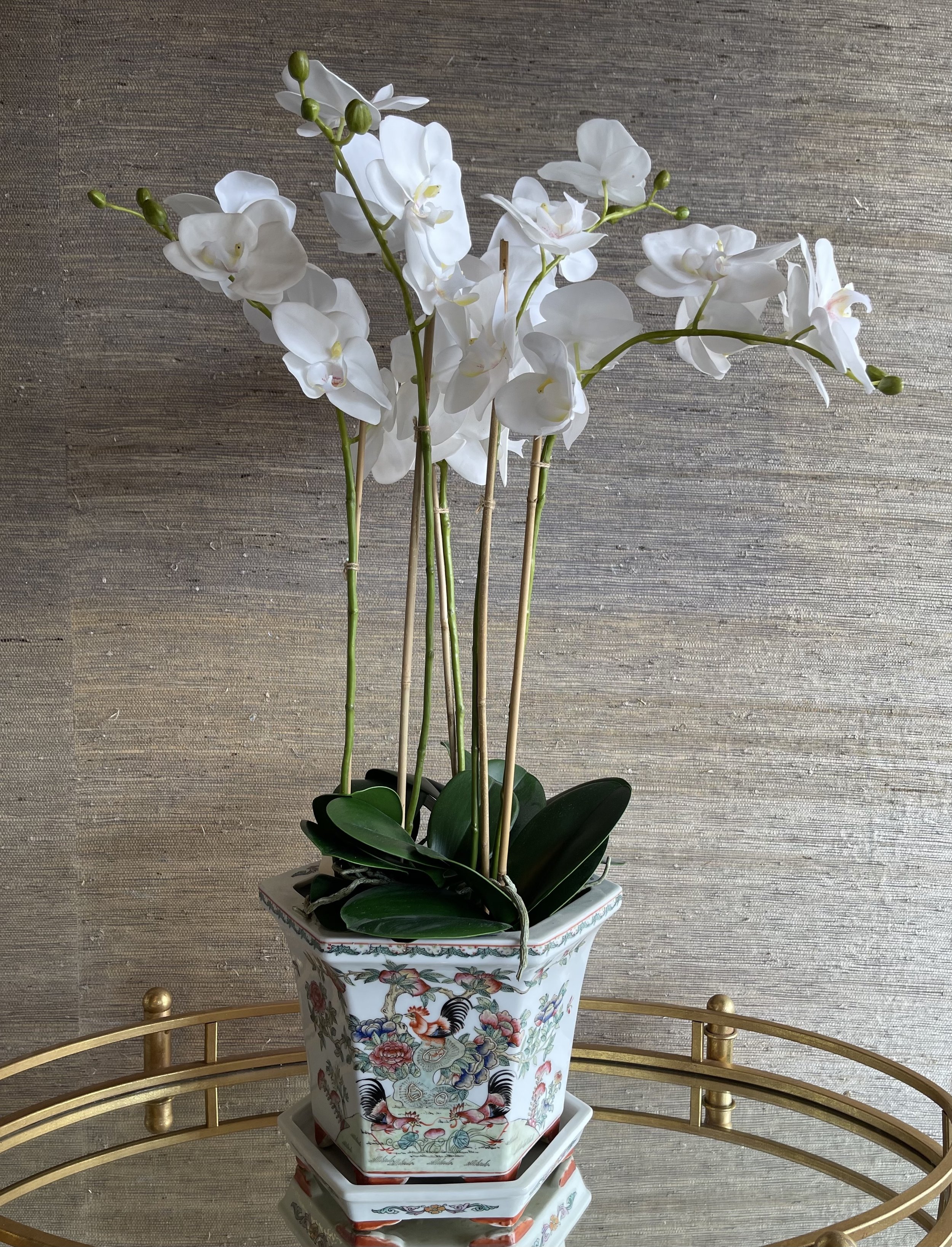 Orchid 5 Stem.jpg