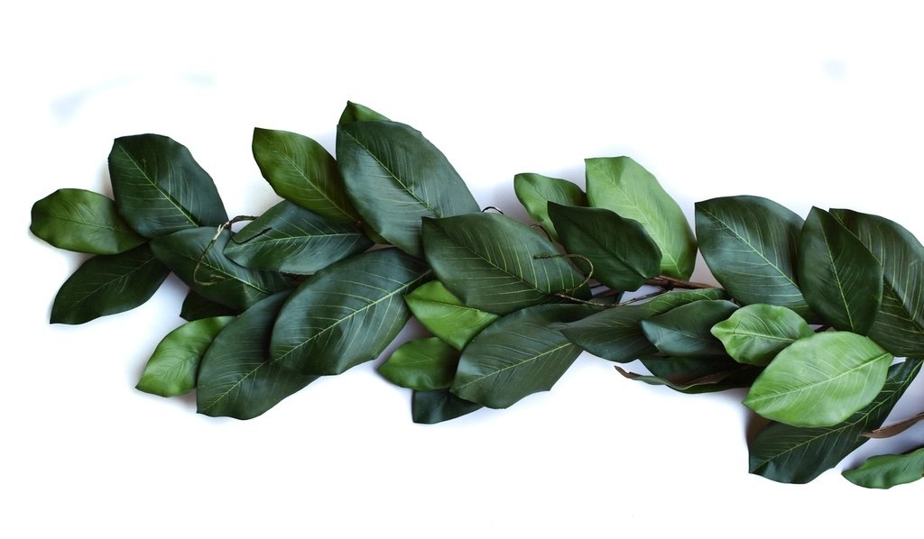 Magnolia Garland2.jpg