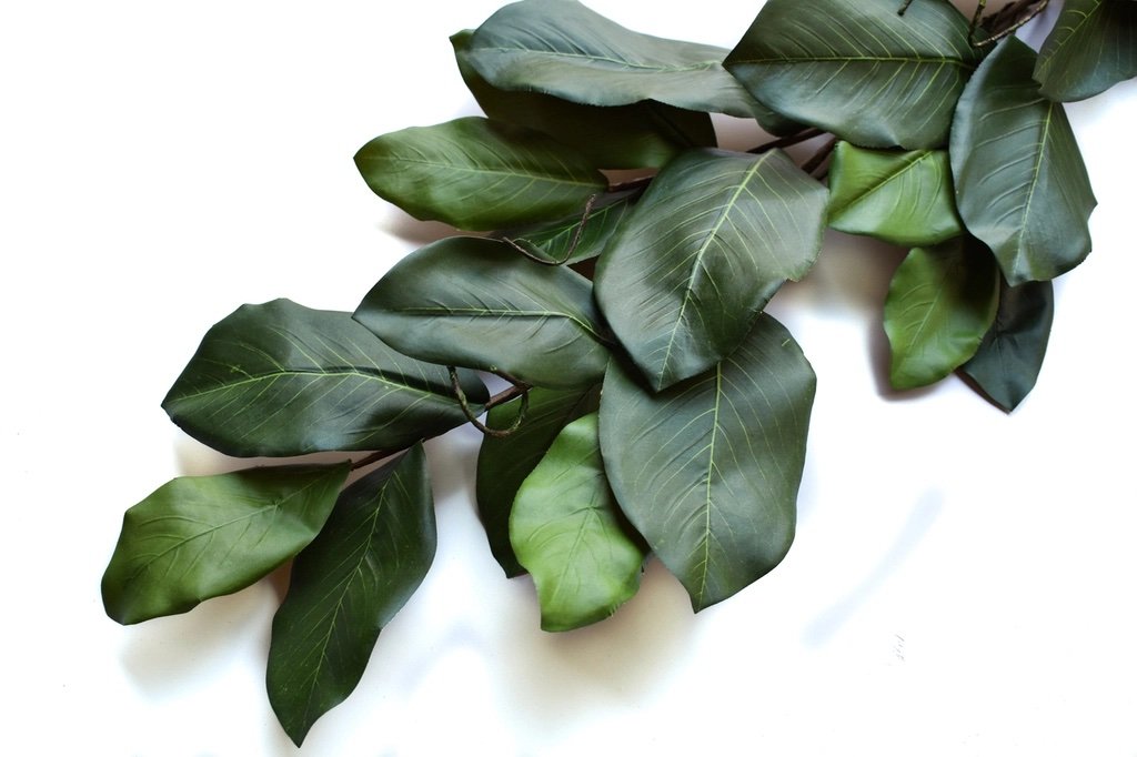 Magnolia Garland 6'.jpg