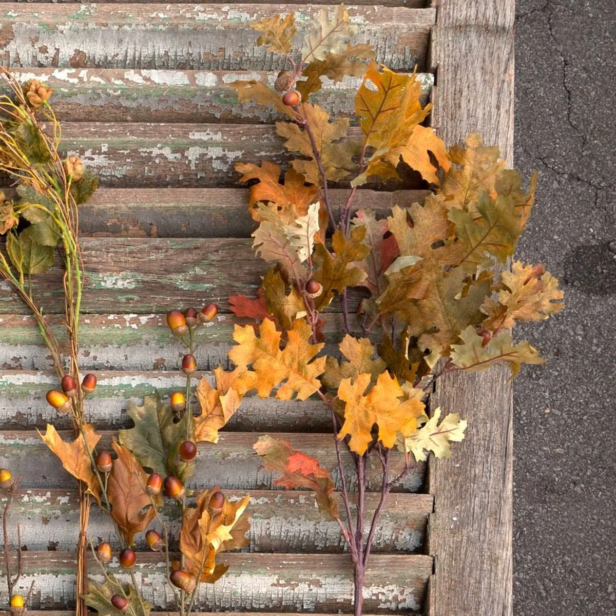 Valley Oak Stem.jpeg