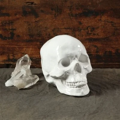 Ceramic White Skull2.jpeg