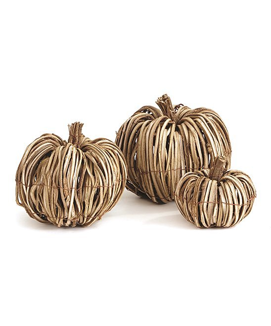Grapevine Pumpkins, Set of Three