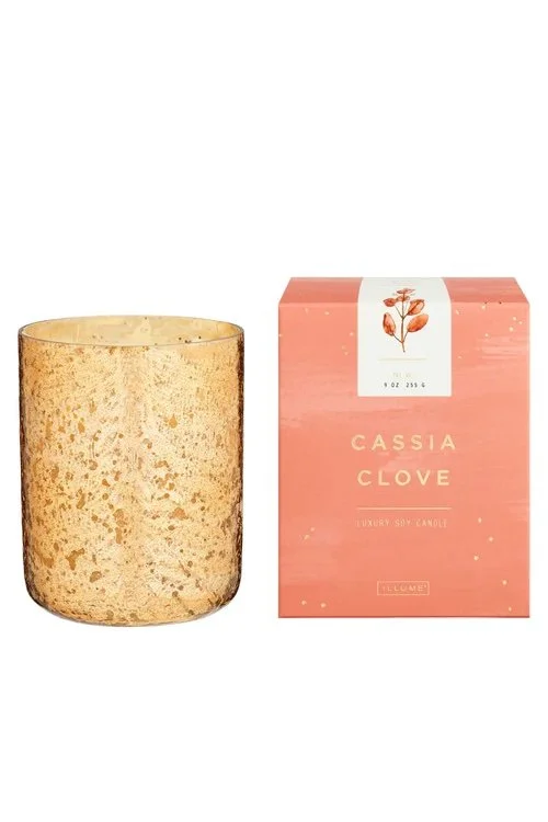 Cassia Clove Small Luxe Mercury Glass Candle