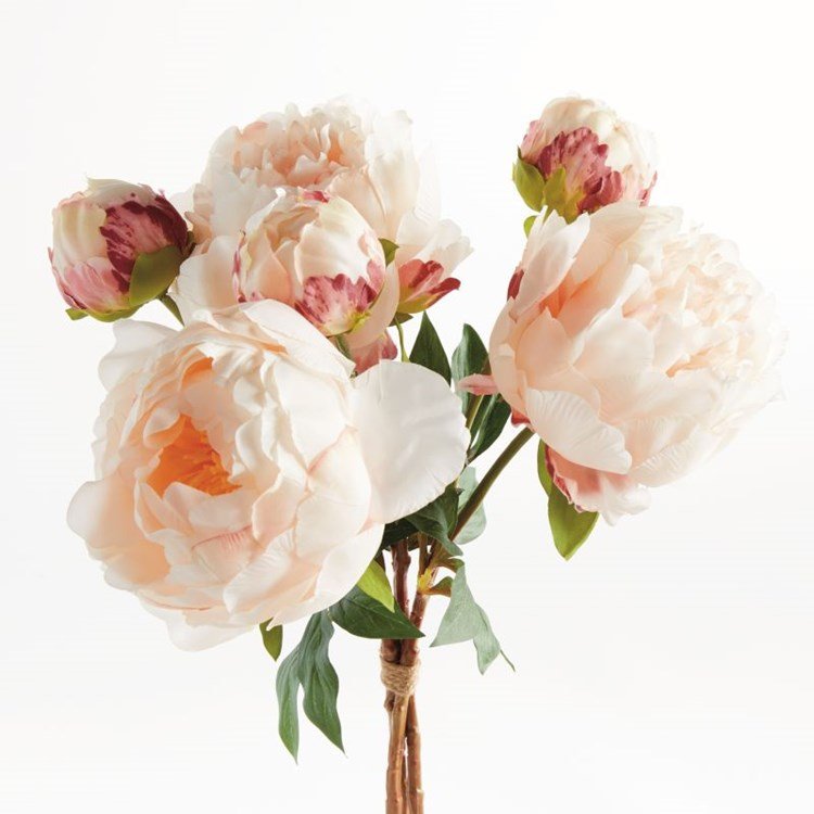 Peony Bundle Light Coral2.jpg