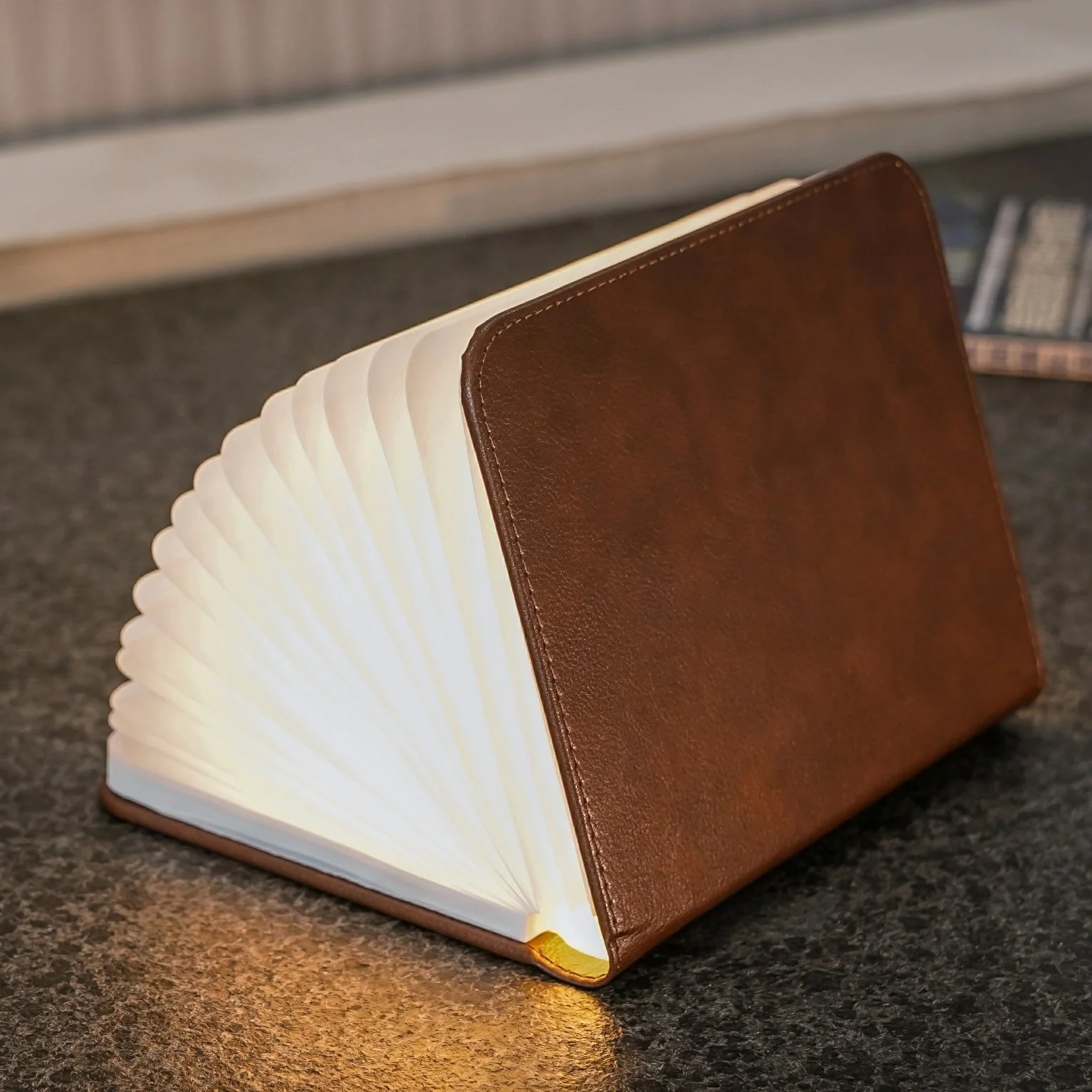Leather Book Lamp.jpeg