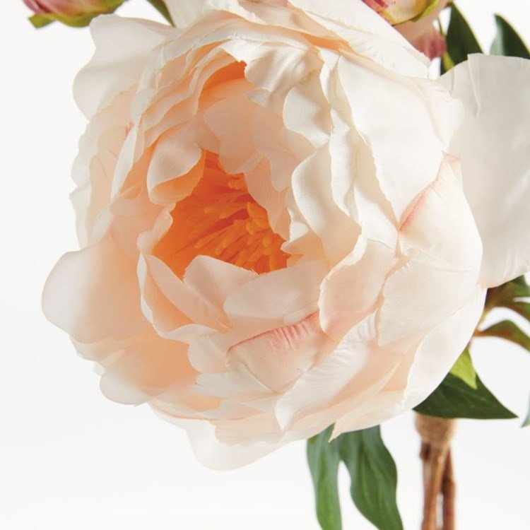 Peony Bundle Light Coral3.jpg
