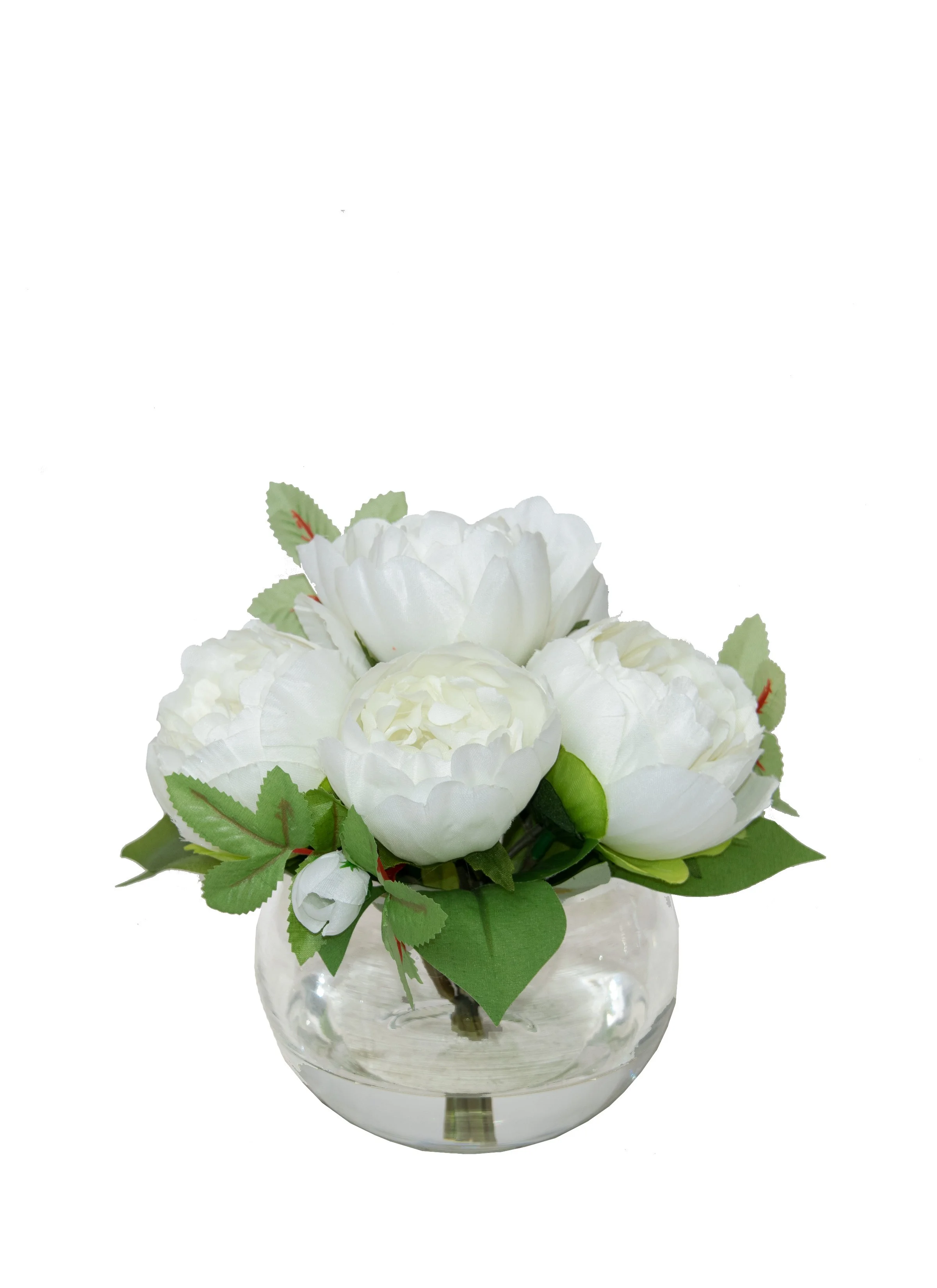 Backyard Peonies.jpg