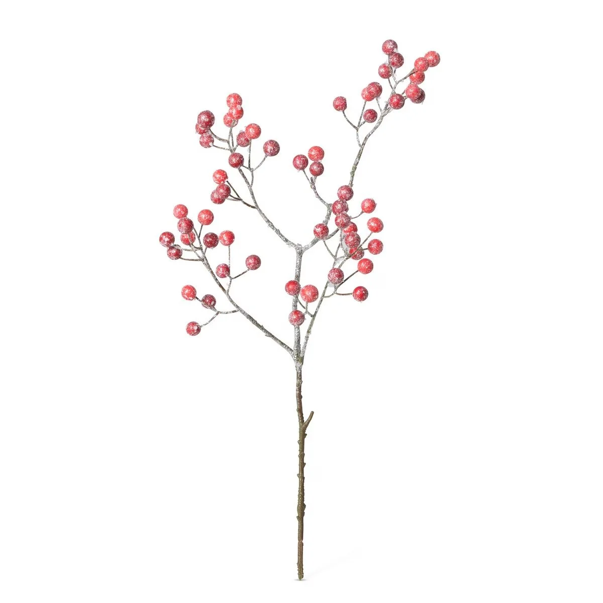 Frosted Berry Stem .jpeg