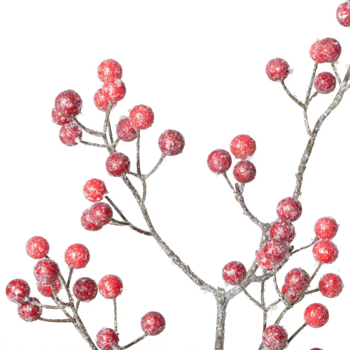 Frosted Berry Stem2.jpeg