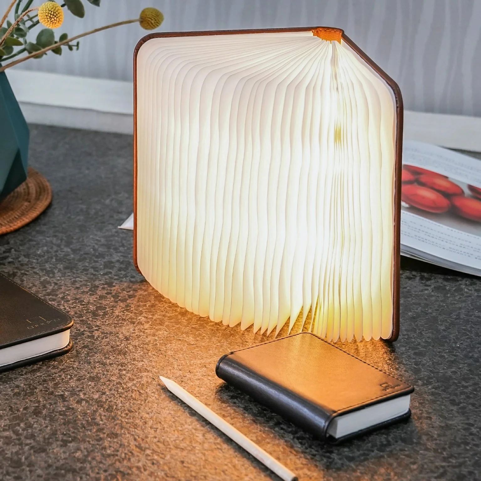 Leather Book Lamp2.jpeg