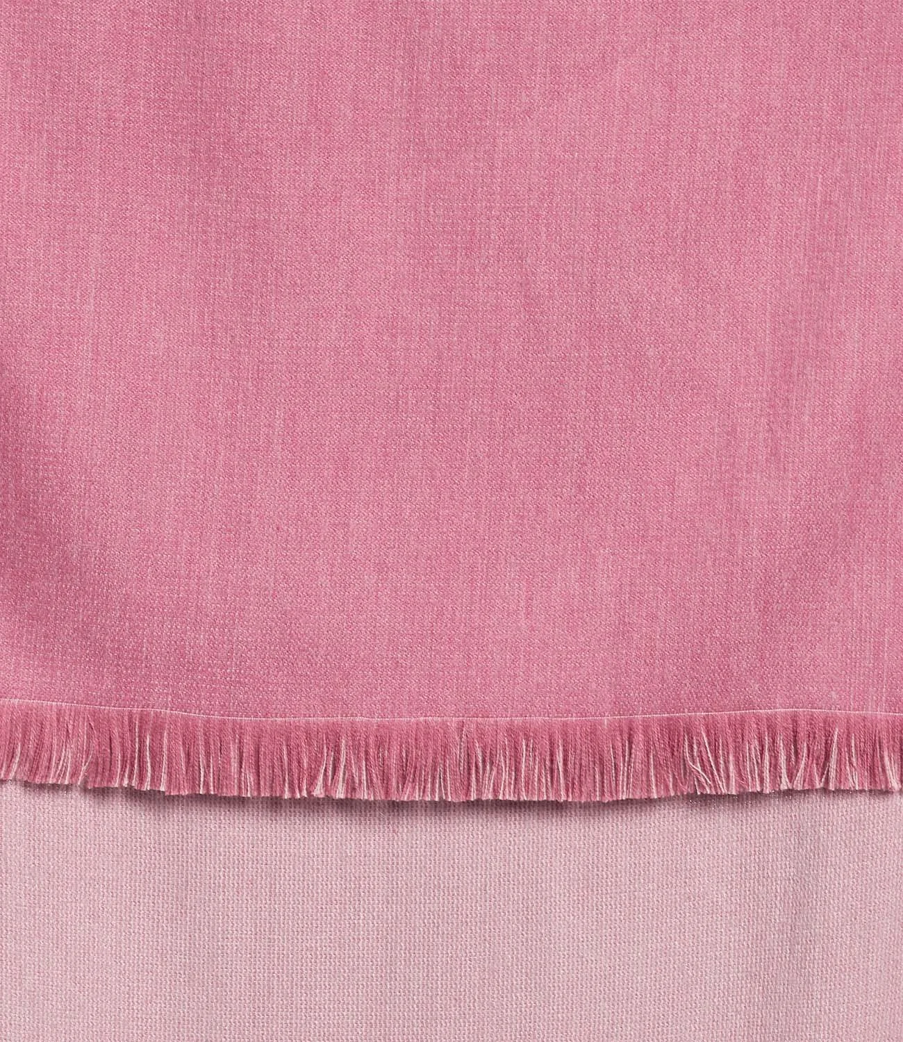 Renaissance Rose3.jpeg