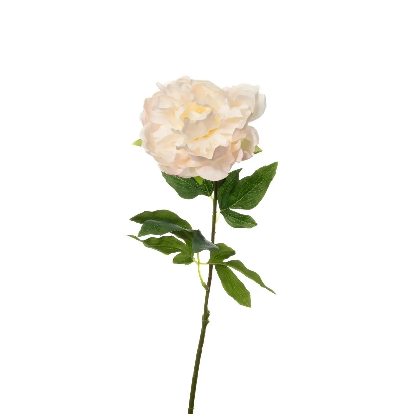 Real Touch White Blush Peony Stem 23"
