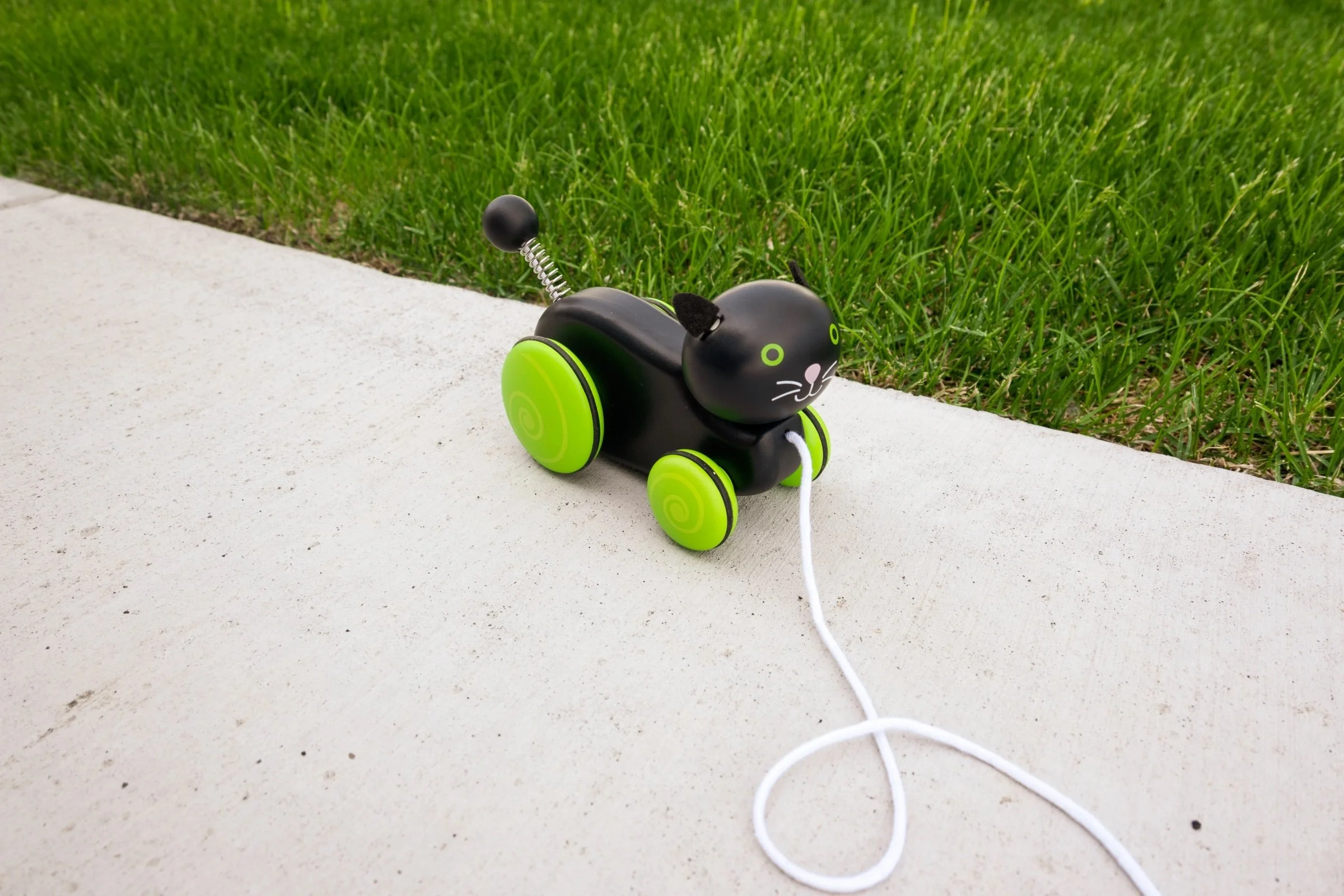 Whiskers Cat Pull Toy2.jpeg