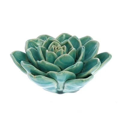 Succulent Teal Creen.jpeg