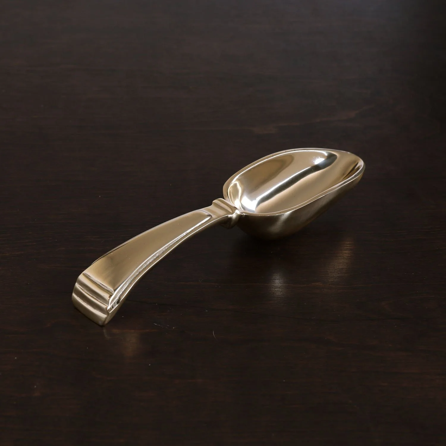 Sierra Modern Ice Scoop2.jpg