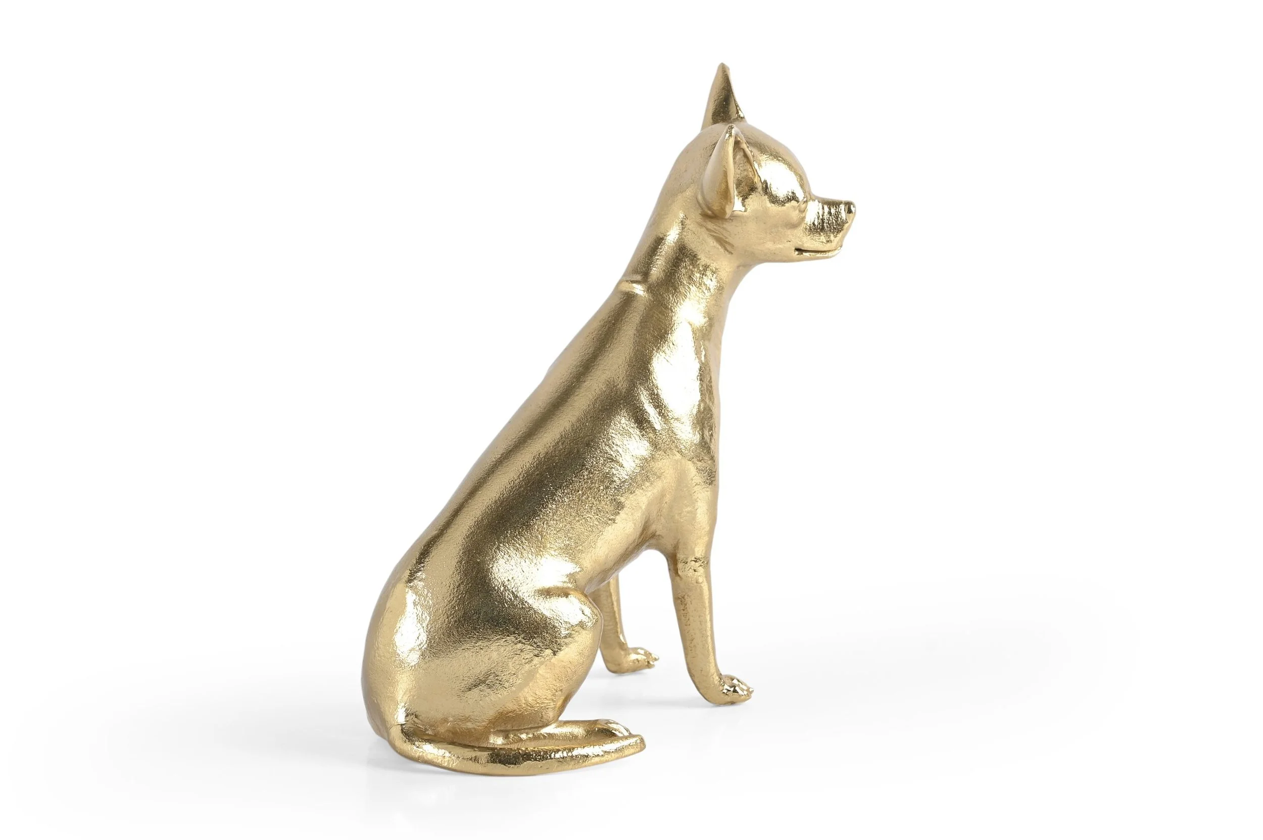 Goldie Chihuahua2.jpg