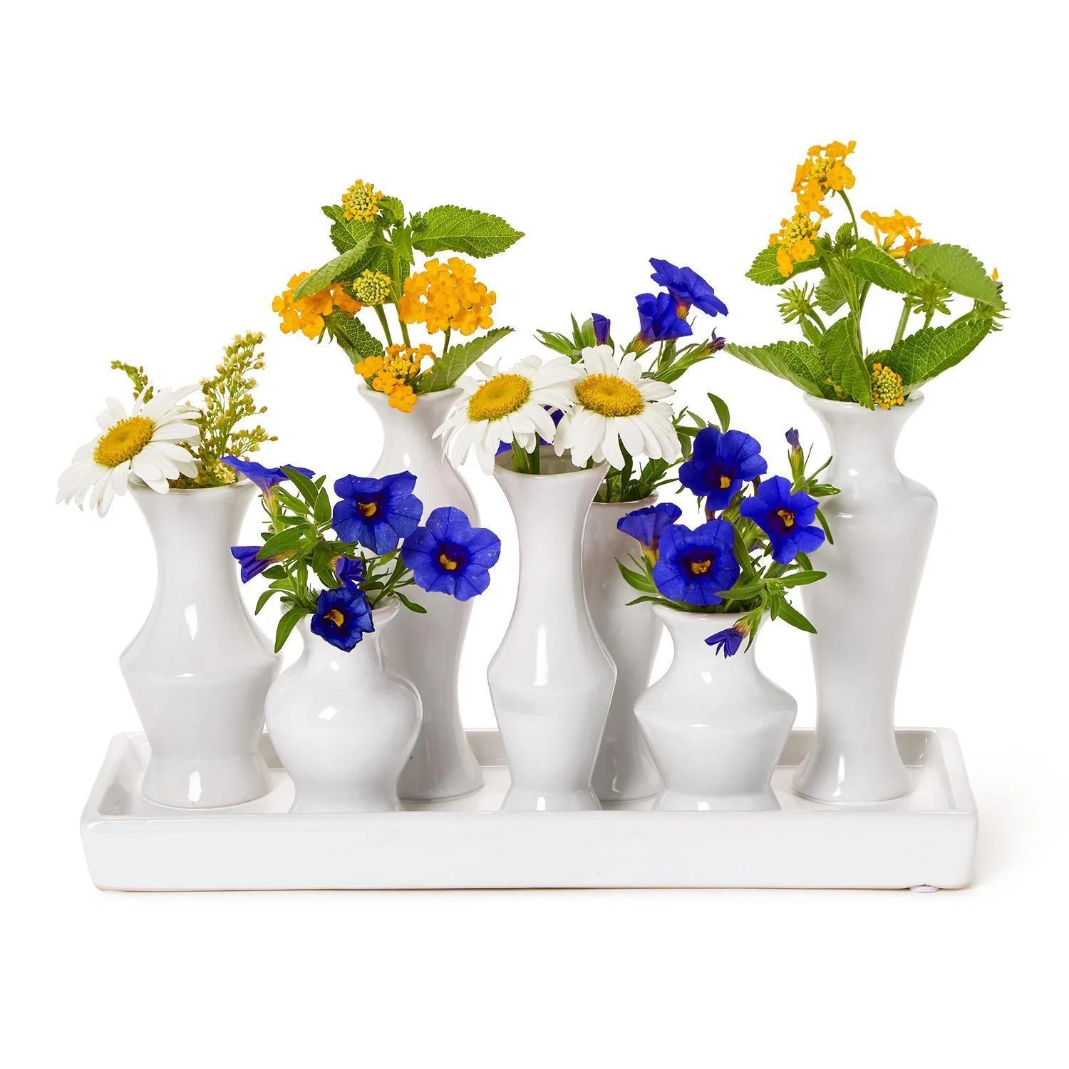 Symphony Rectangle Multi Bud Vase With/7 Sections