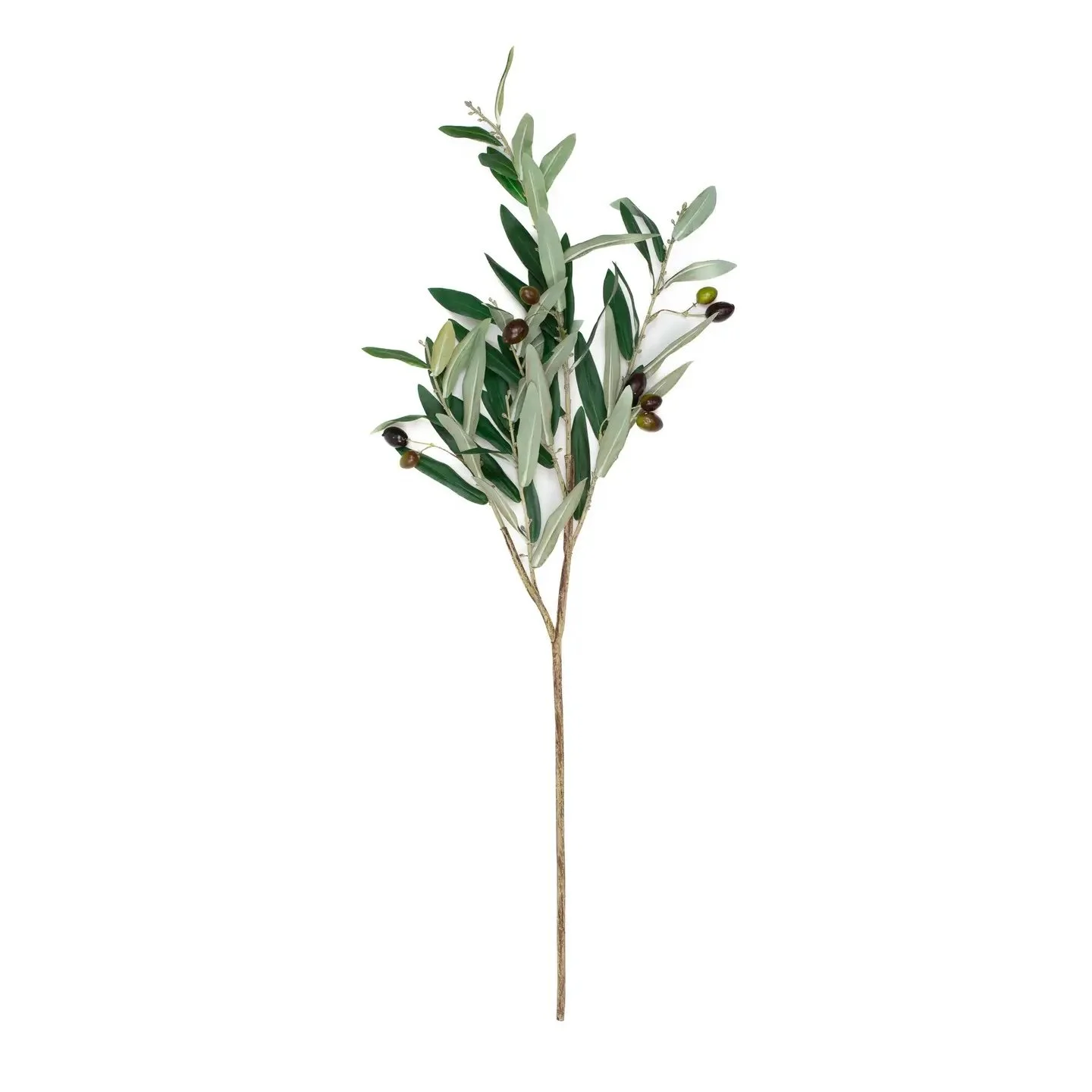 Olive Leaf Branch 32%22.jpeg