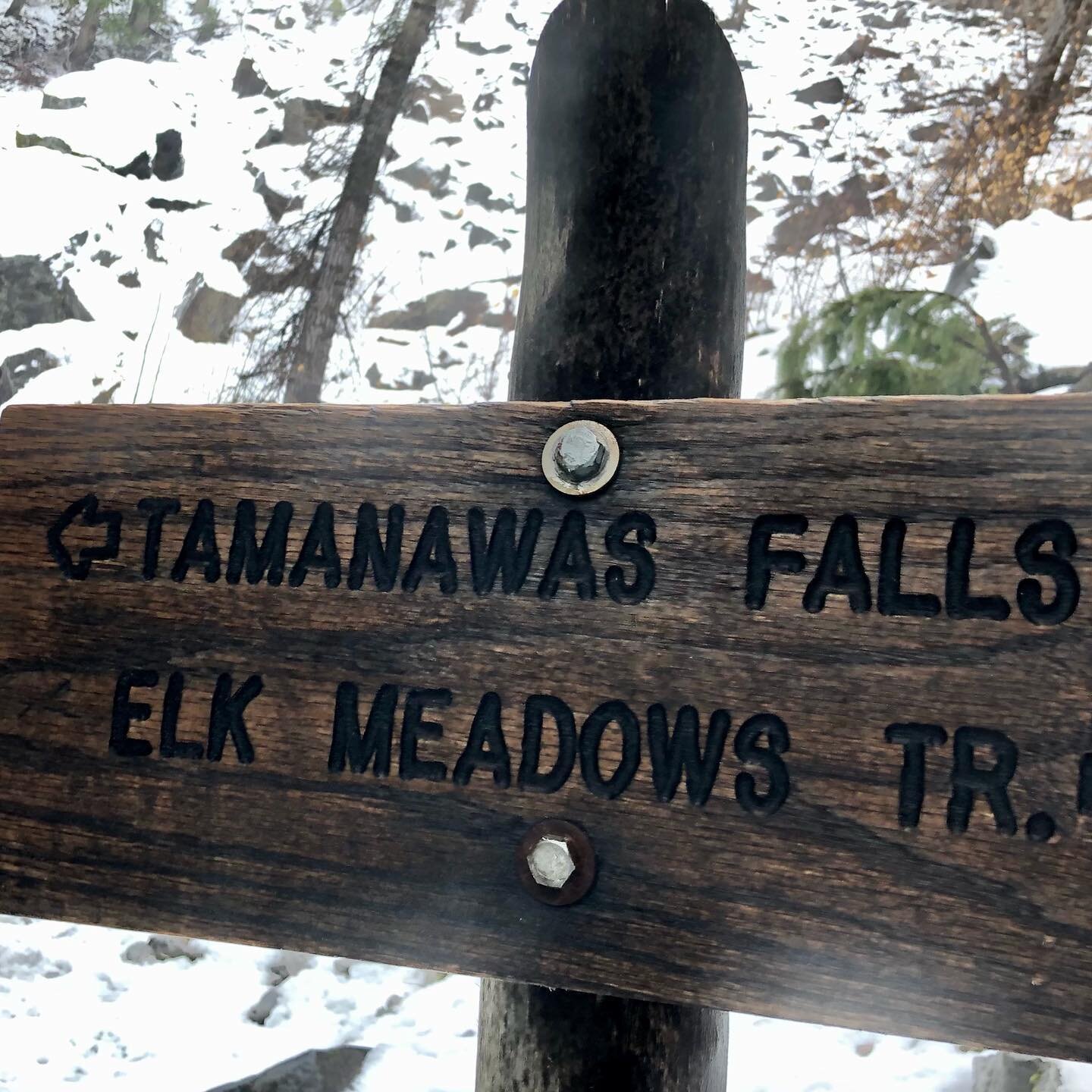 Yeti Culture Adventures: Snow shoe hiking with some fellow Yeti! #yeticulture #tamanawasfalls #pnwadventures #yetiadventures