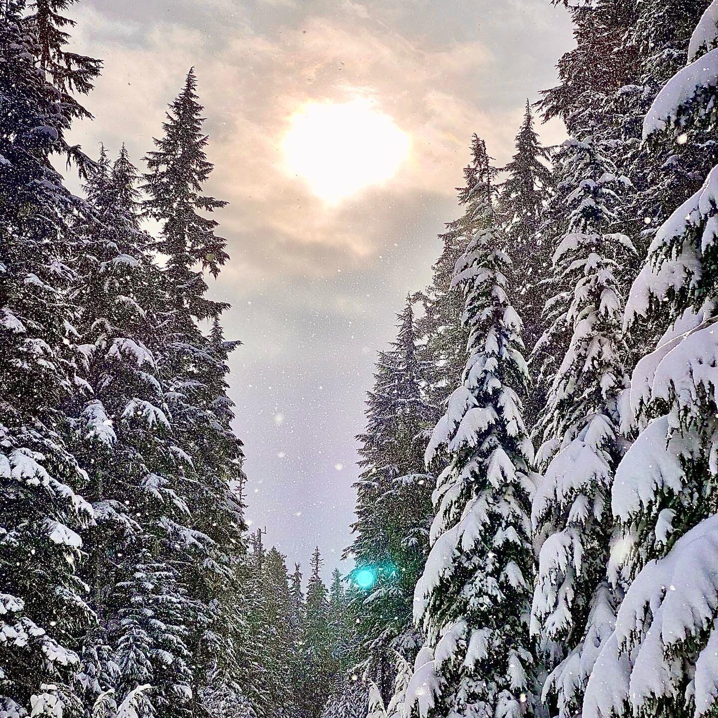 Pacific Northwest&rsquo;s Mt. Hood is one beautiful place to hike! #yeticulture  #pnw #yetihikes