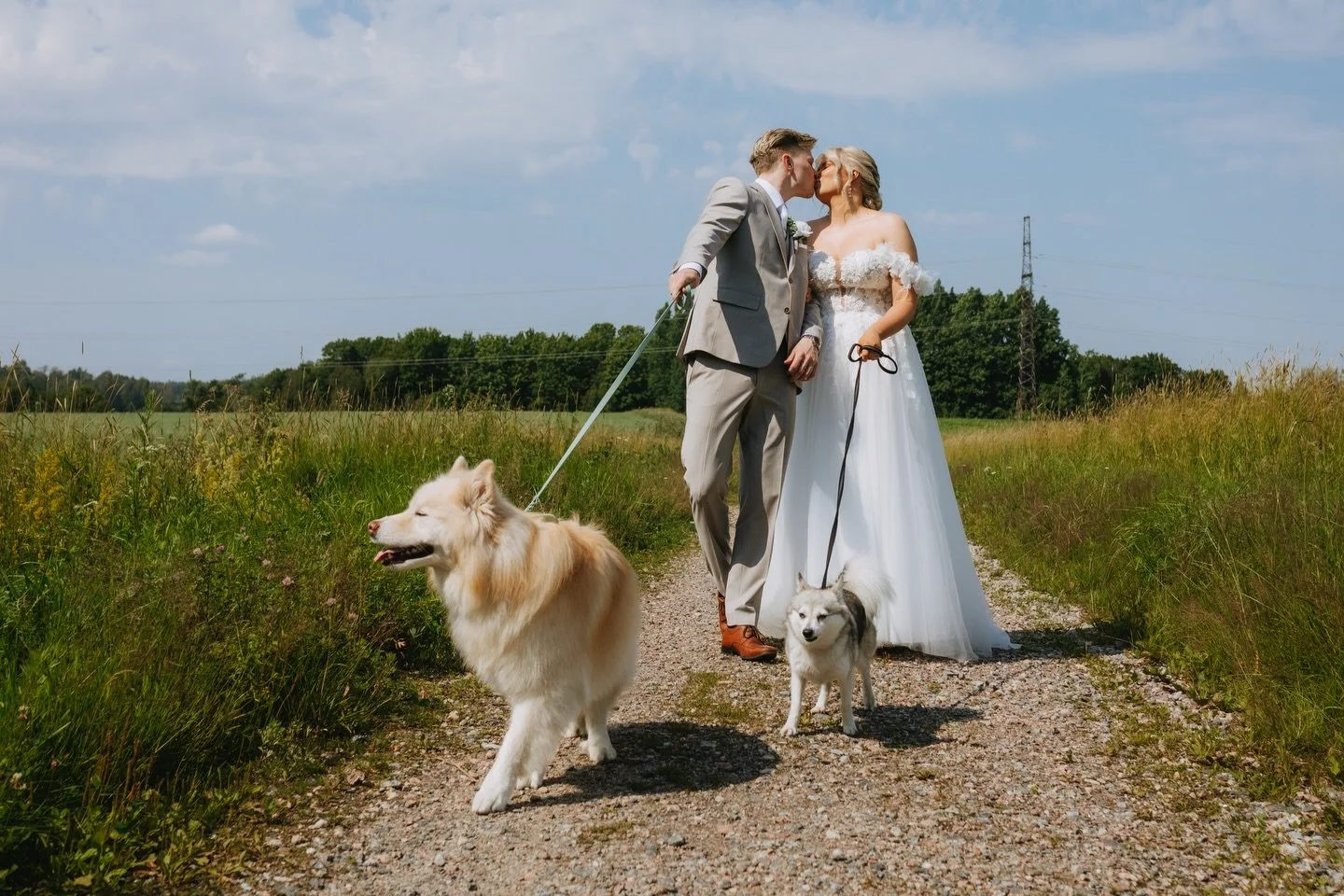 Consider this my official petition to have pups at every wedding from now on..