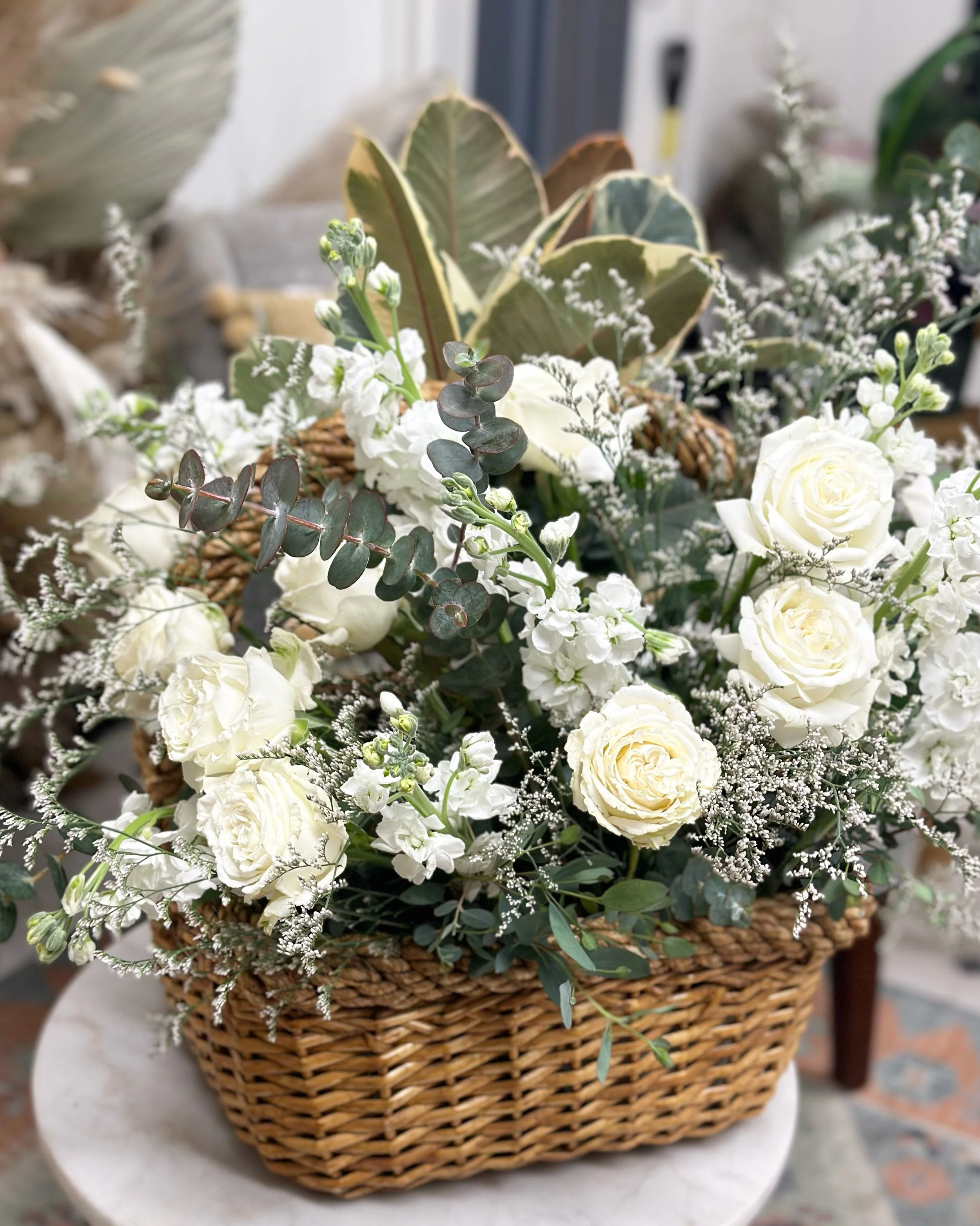 6299CBAD-3CF8-4CB6-9A7D-69D1CBA03767 (1).JPG