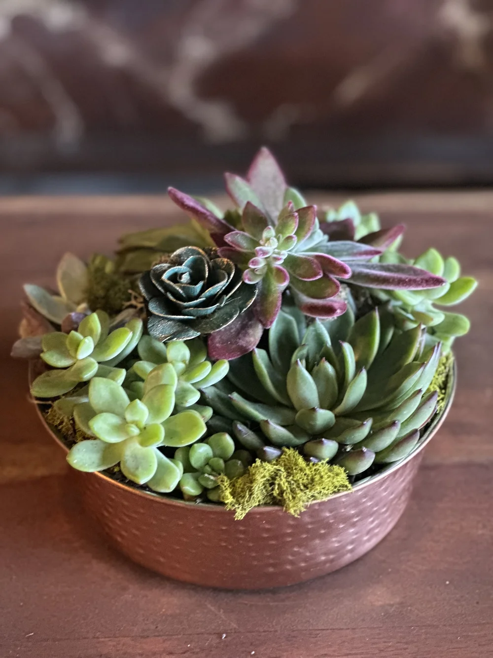 Live Succulent Arrangement Sm-Med  Brier Rose Design
