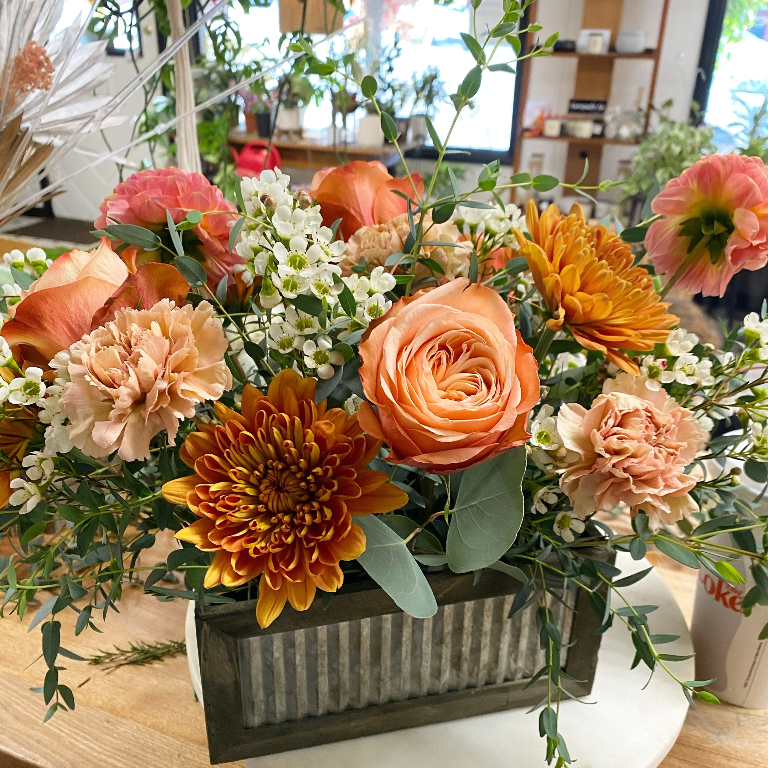 A1BED64A-6D0C-4530-9D28-E99E0B000EC3 (1).JPG