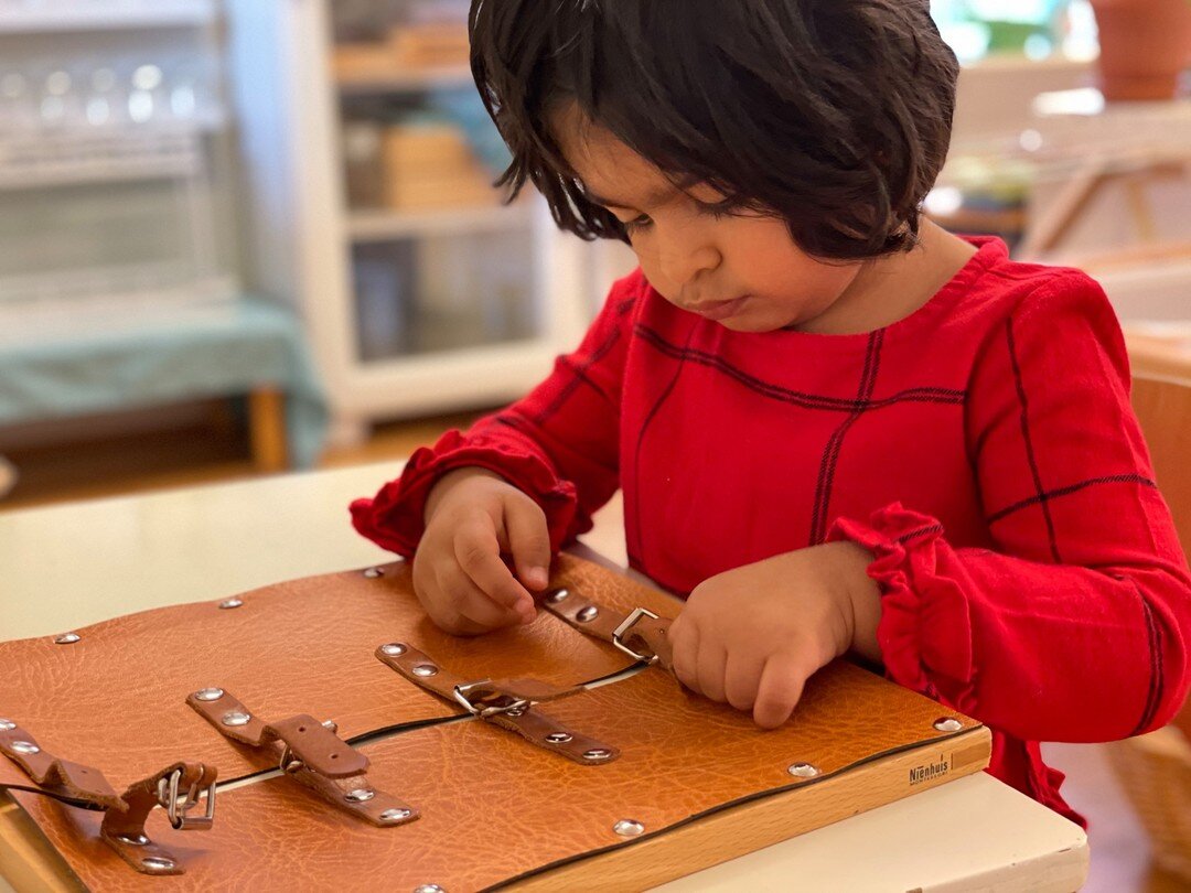 Montessori Material: Buckle dressing frame
Age: 3.5-4 years
Purpose: To help the child learn how to buckle/unbuckle themselves while also acquiring coordination of movement.

#MontessoriMagic ✨