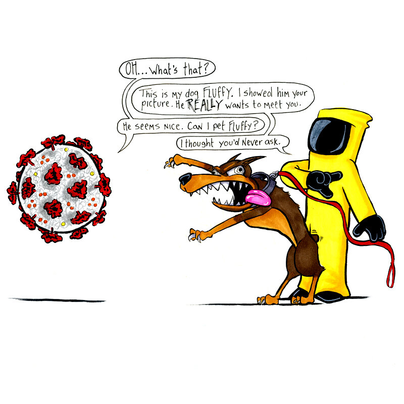 Corona013.jpg
