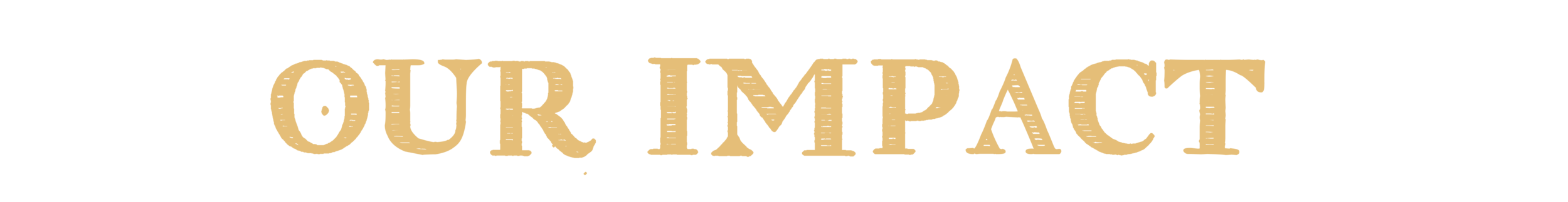 OUR IMPACT.png
