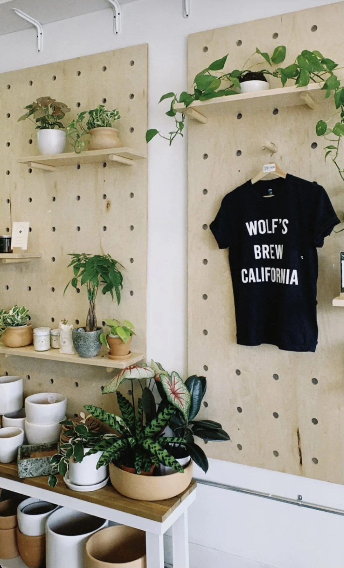 Our Merchandise  & Boutique Wall