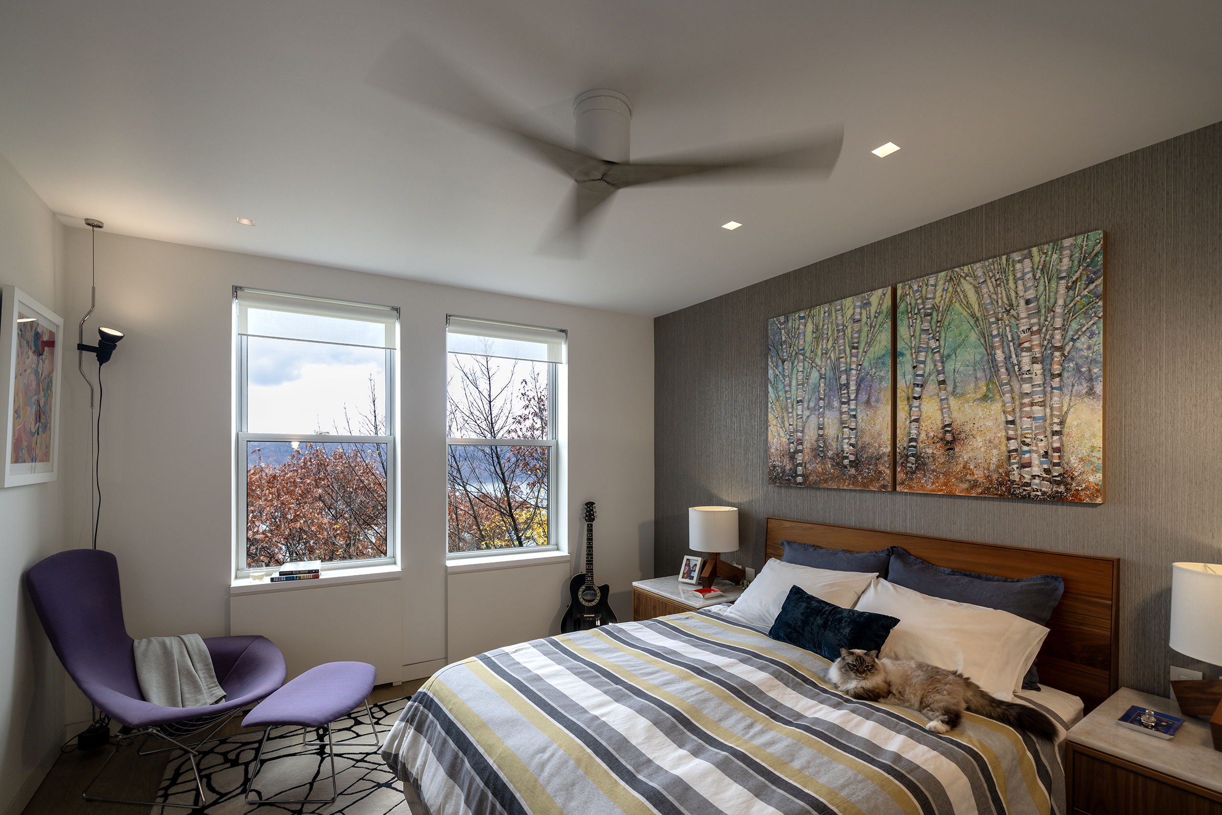 ZOLI - 202511221149.png