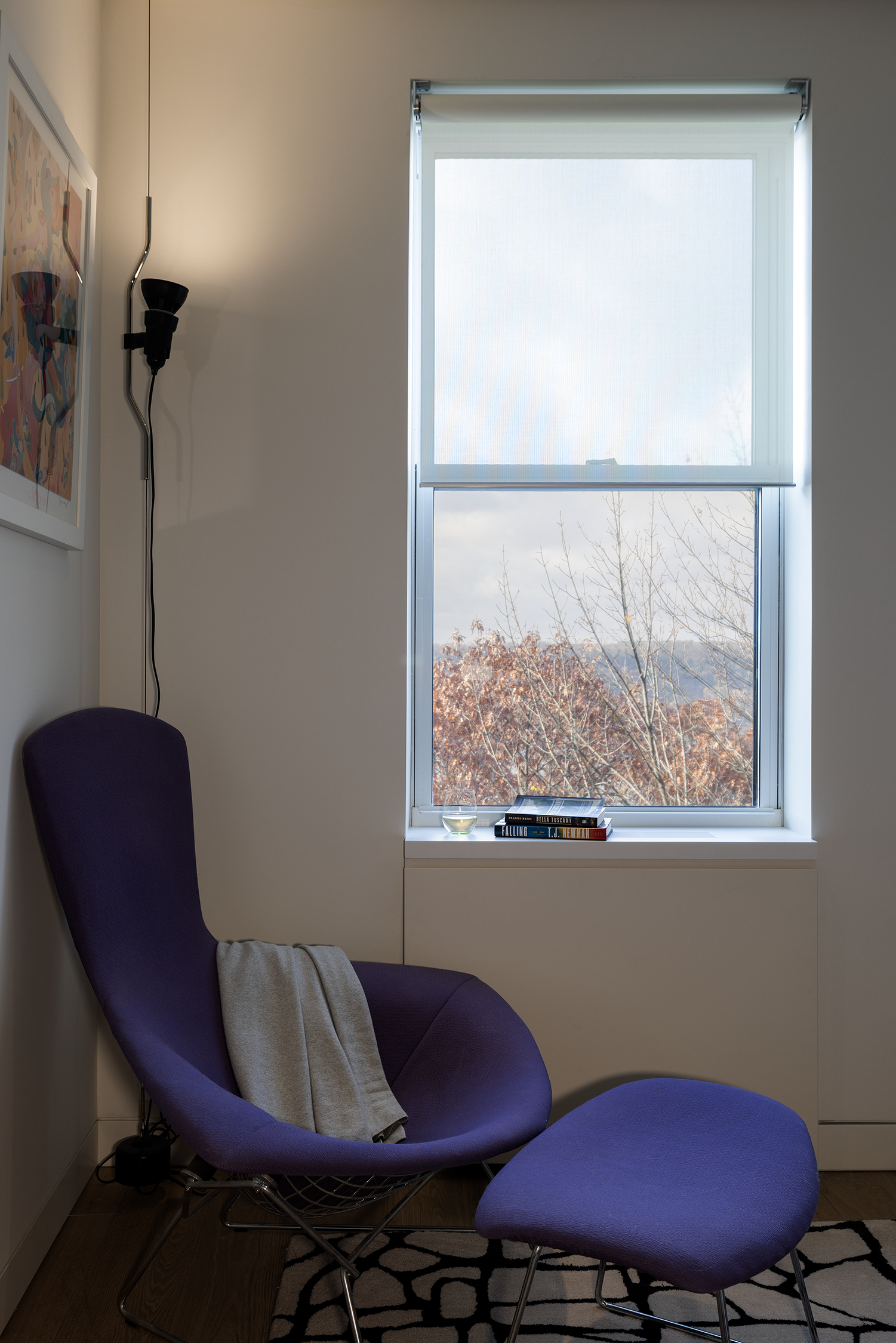 ZOLI - 202511221165.png