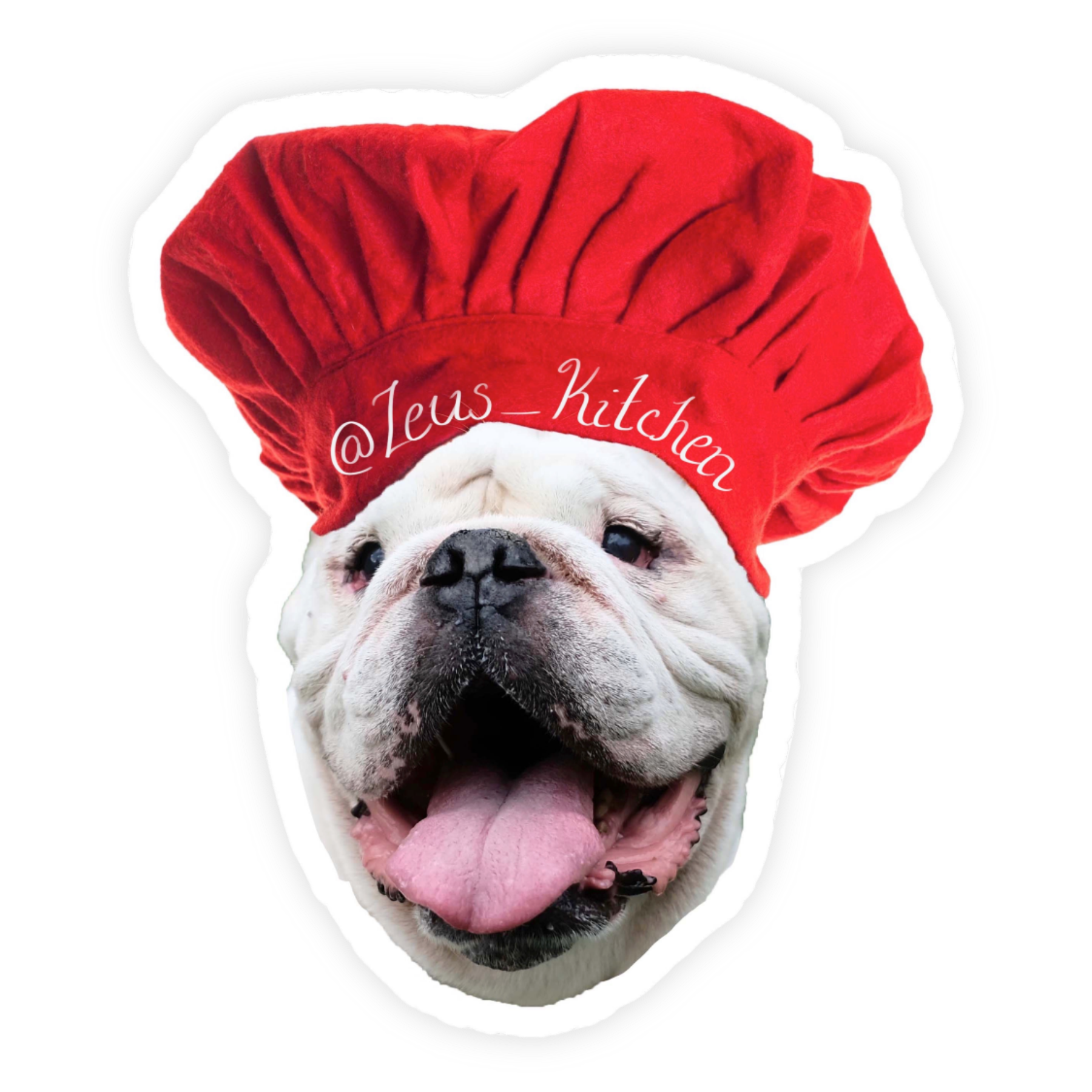 CHEF STICKER